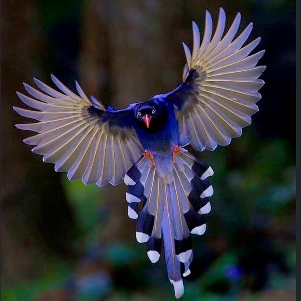 Beauty🦋 - Picture 12 of 15